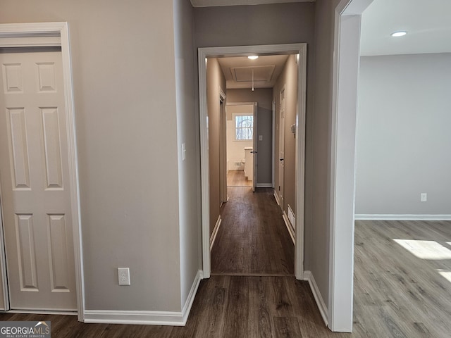 hall featuring wood-type flooring