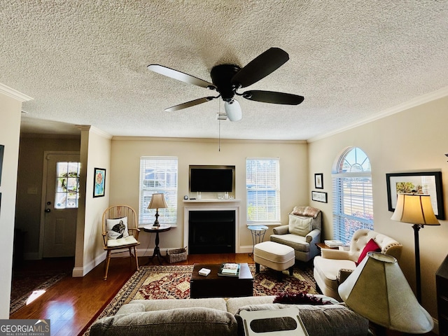 living room featuring dark hardwood / wood-style floors, plenty of natural light, and crown molding