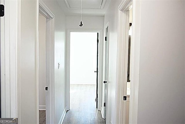 corridor with wood-type flooring