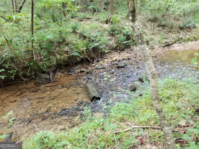 0 Town Creek Rd, Franklin, GA 30217