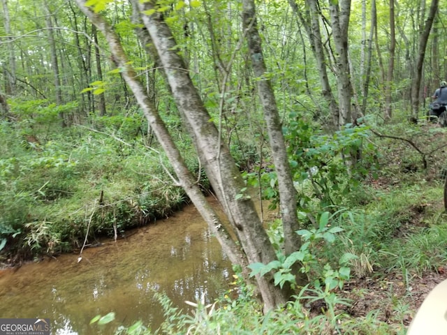 0 Town Creek Rd, Franklin, GA 30217