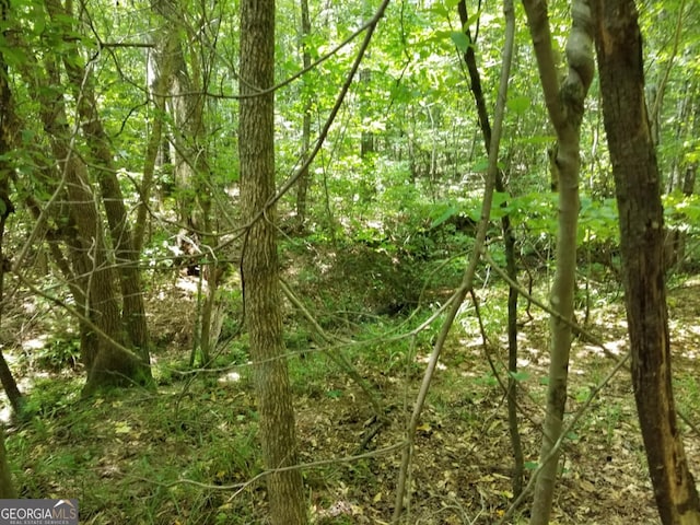 0 Town Creek Rd, Franklin, GA 30217