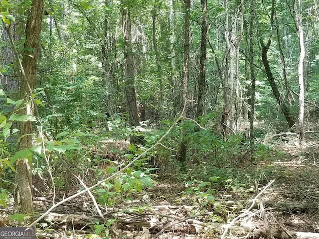 0 Town Creek Rd, Franklin, GA 30217