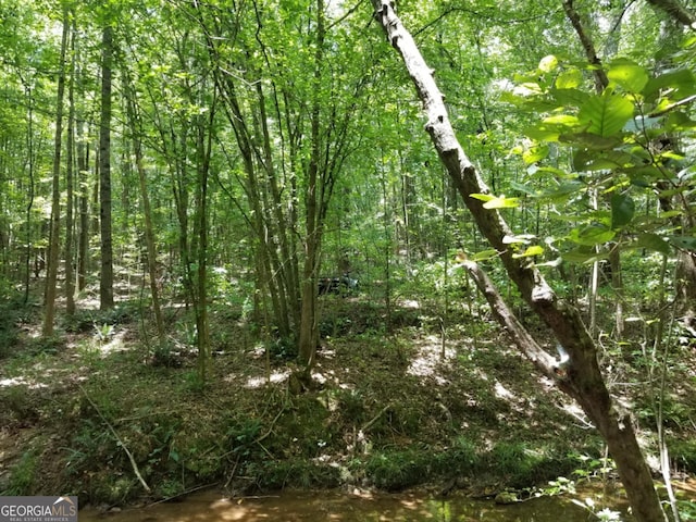 0 Town Creek Rd, Franklin, GA 30217