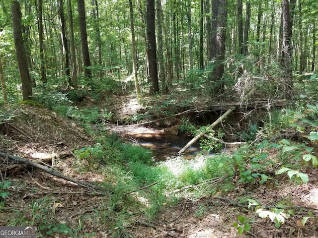 0 Town Creek Rd, Franklin, GA 30217