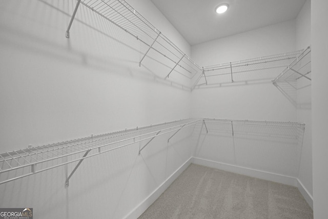 walk in closet with light colored carpet