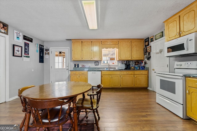 kitchen with hardwood / wood-style flooring, sink, white appliances, and a textured ceiling