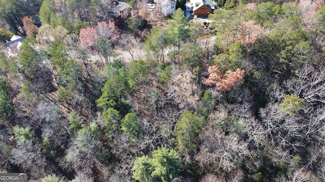 LOT141 Rosen Strasse, Helen GA, 30545 land for sale