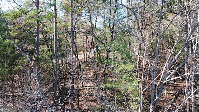 Listing photo 3 for LOT141 Rosen Strasse, Helen GA 30545