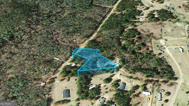 0 Michelle Ln, Georgetown GA, 39854 land for sale