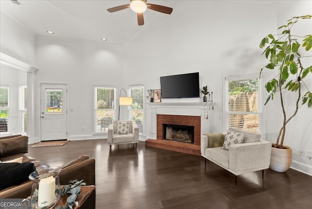 living room featuring a healthy amount of sunlight, a towering ceiling, and dark wood-type flooring