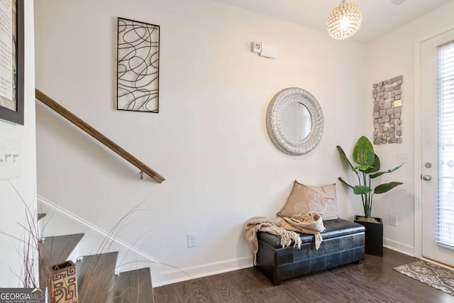 entryway featuring dark wood-type flooring and a wealth of natural light