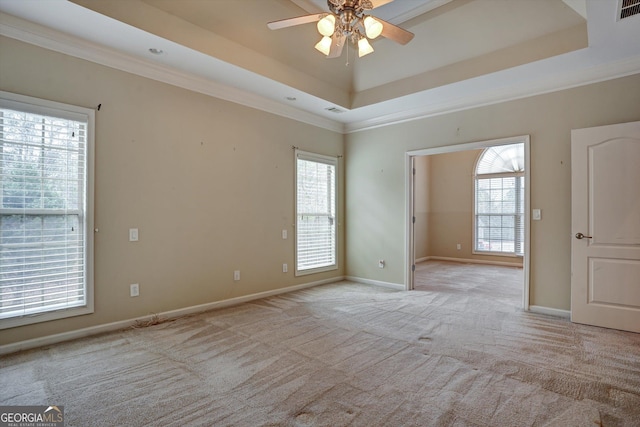 spare room featuring a raised ceiling, light carpet, plenty of natural light, and crown molding