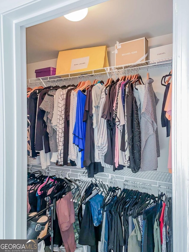 view of spacious closet