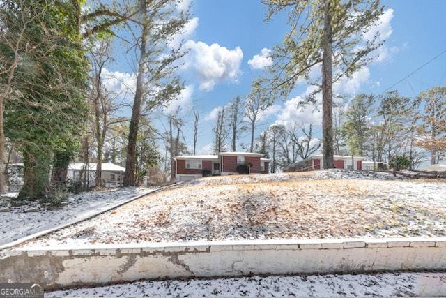 view of yard covered in snow