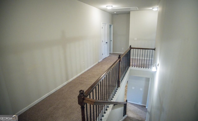 staircase with carpet flooring