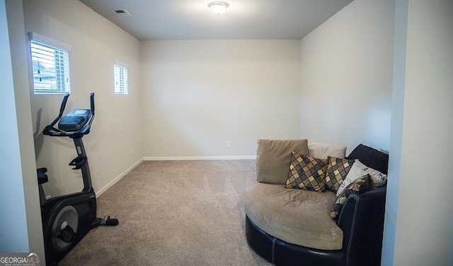 sitting room with carpet floors