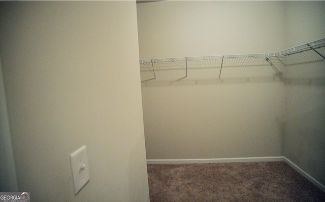 walk in closet with dark colored carpet