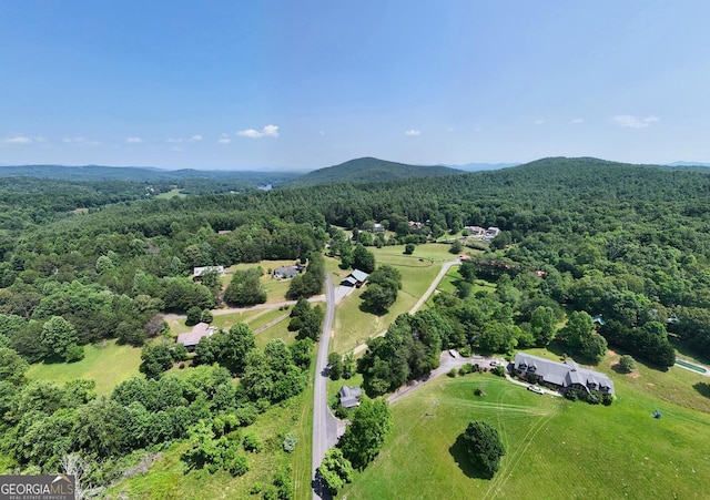 130 Stablegate Dr, Blairsville, GA 30512 - drone / aerial view of a forest