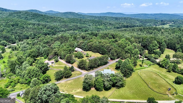 130 Stablegate Dr, Blairsville, GA 30512 - drone / aerial view of a forest and a mountainous background
