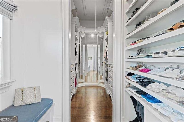 spacious closet with dark hardwood / wood-style floors