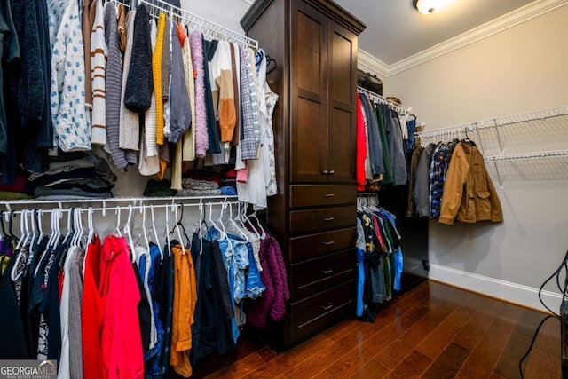 walk in closet featuring dark hardwood / wood-style flooring