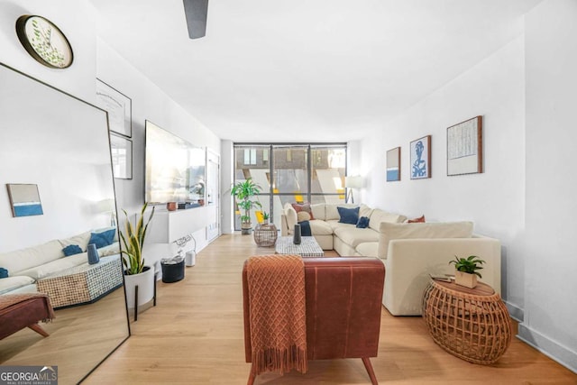 living room with light wood-type flooring and expansive windows