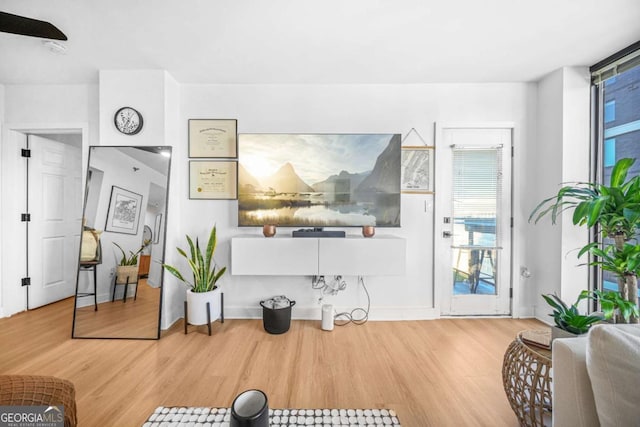 living room with wood-type flooring