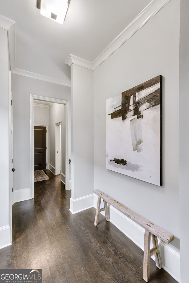 hall featuring dark wood-type flooring and crown molding