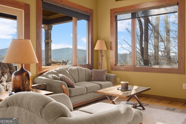 living room featuring hardwood / wood-style flooring and a mountain view