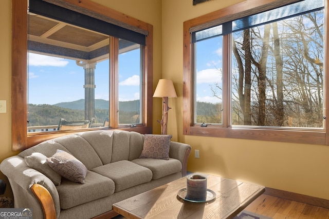 living room featuring a mountain view, a wealth of natural light, and wood-type flooring