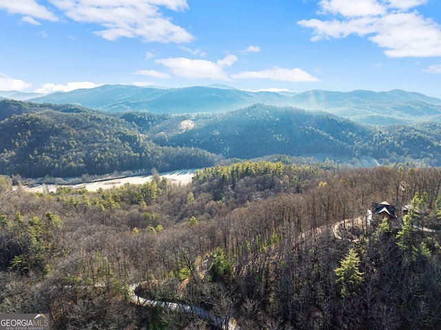 view of mountain feature