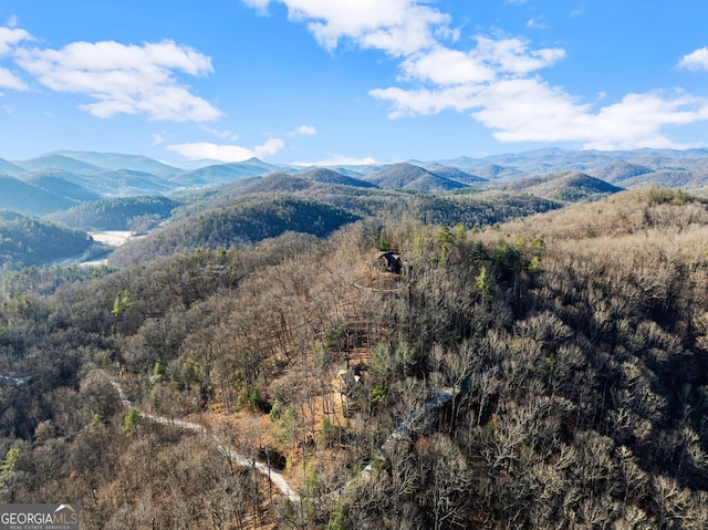 property view of mountains