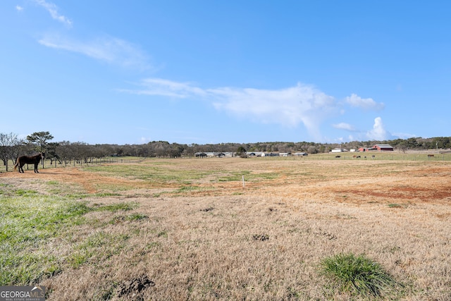 view of local wilderness featuring a rural view