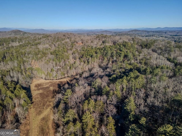 drone / aerial view featuring a mountain view