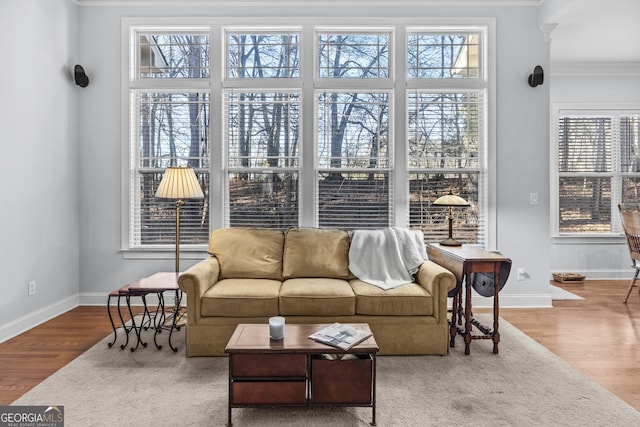 living room featuring a healthy amount of sunlight, crown molding, and hardwood / wood-style floors