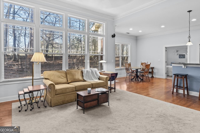 living room featuring hardwood / wood-style flooring, plenty of natural light, and ornamental molding