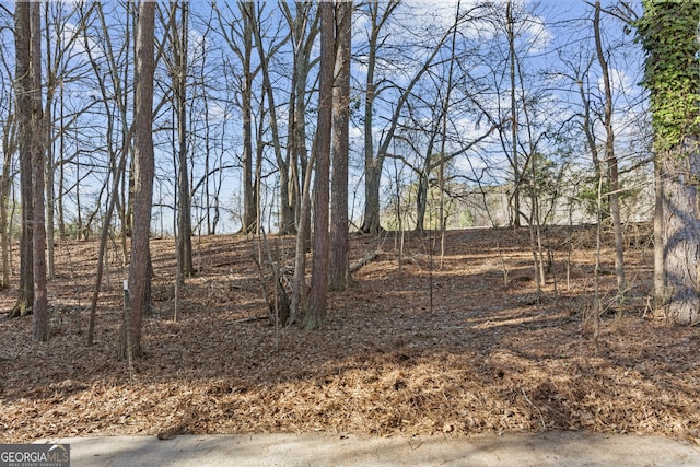 view of local wilderness