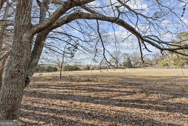 view of yard with a rural view