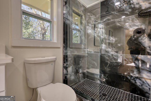 bathroom with a stall shower and toilet