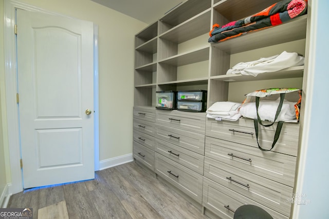 spacious closet with light hardwood / wood-style flooring