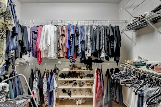 view of spacious closet