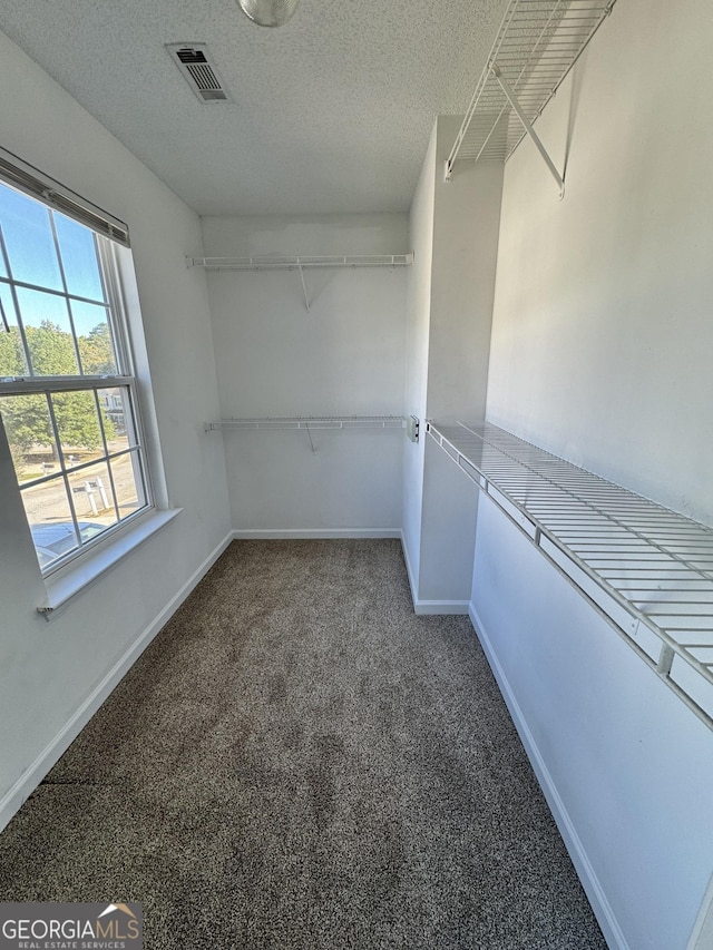 spacious closet with carpet