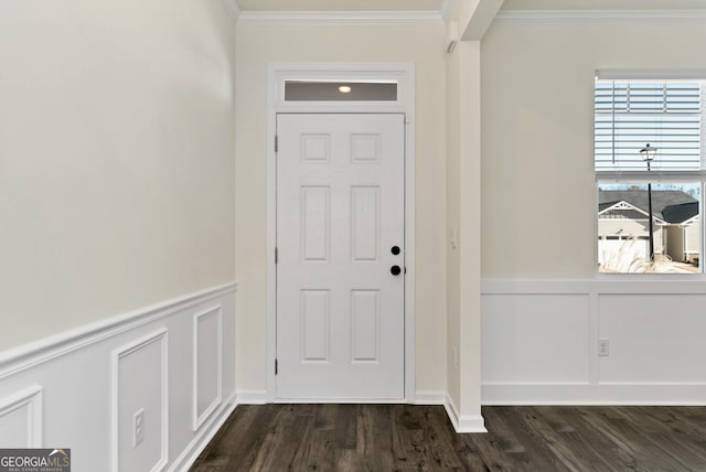 foyer featuring a wealth of natural light, crown molding, and dark hardwood / wood-style flooring