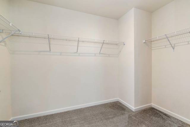 walk in closet with carpet