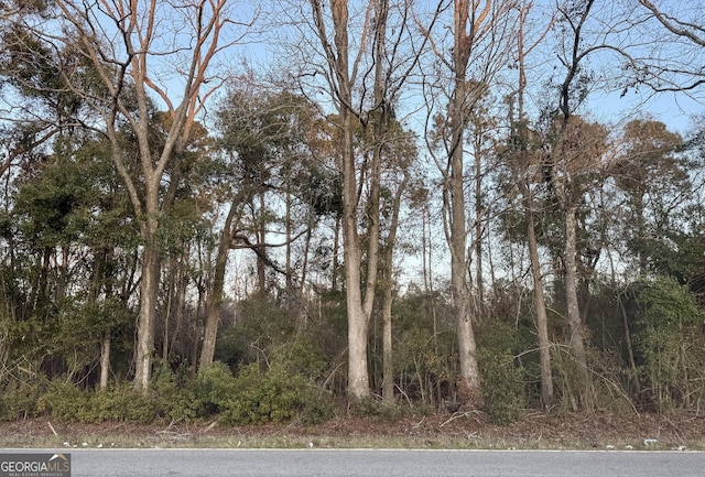 0 Lakeview Rd, Statesboro GA, 30461 land for sale