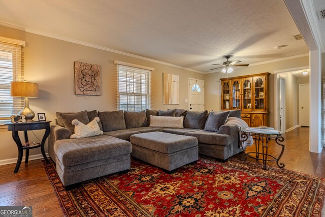 living room with ceiling fan, dark hardwood / wood-style flooring, crown molding, and a textured ceiling