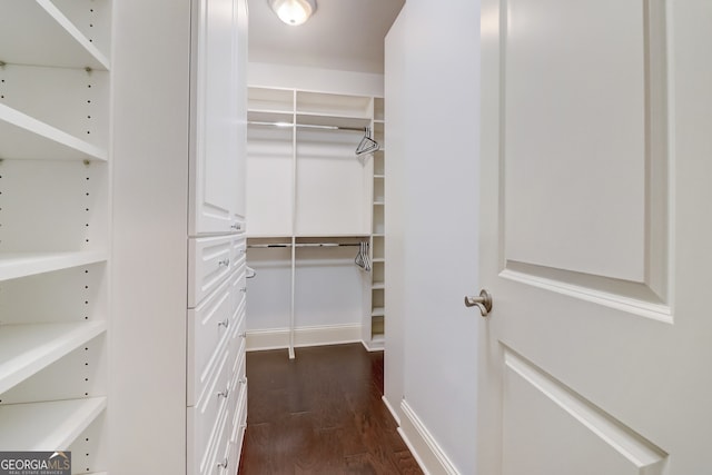 spacious closet with dark hardwood / wood-style floors