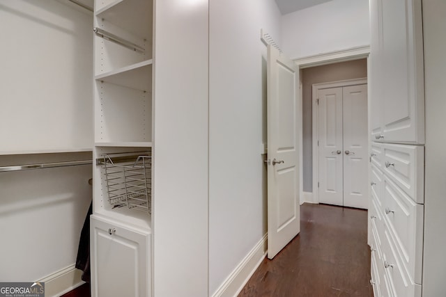 spacious closet featuring dark hardwood / wood-style floors