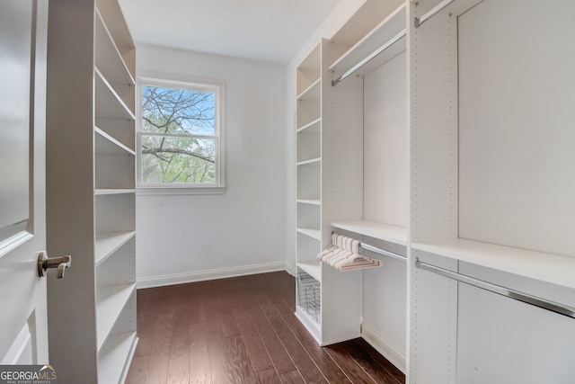 walk in closet with dark hardwood / wood-style flooring